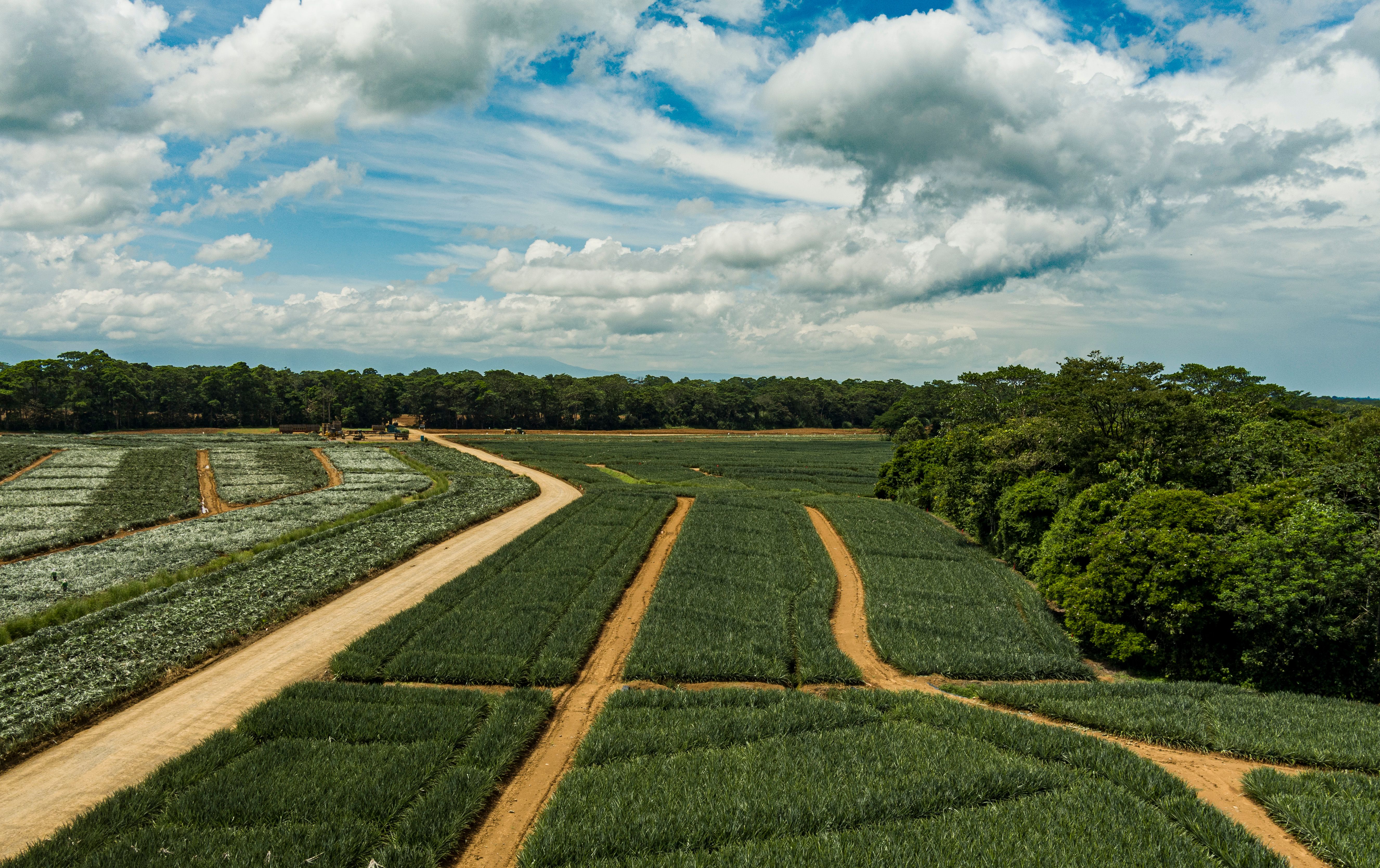 USDA Confirms Presence of New World Screwworm in the United States | Animal and Plant Health Inspection Service — Photo by Lu