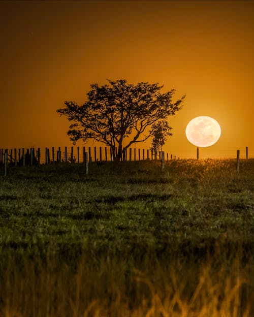 Free stock photo of full moon, moon Stock Photo