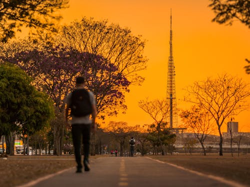 Free A Tower under and Orange Sky Stock Photo