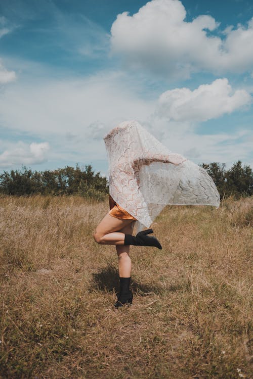 Fotobanka s bezplatnými fotkami na tému biela, čipka, Florida