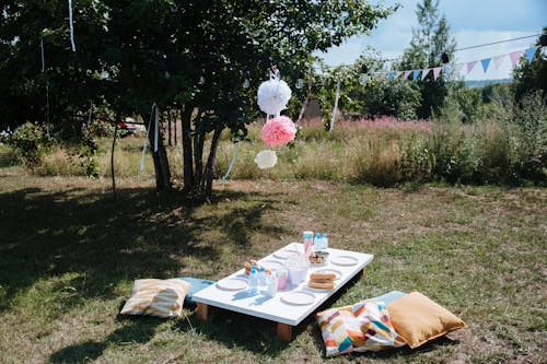 Immagine gratuita di alberi, alimenti, campo d'erba