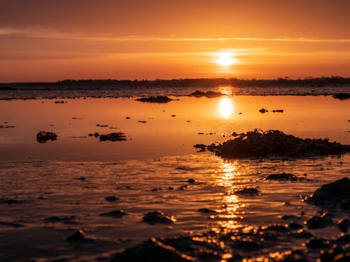 Free stock photo of beach, orange, sunset