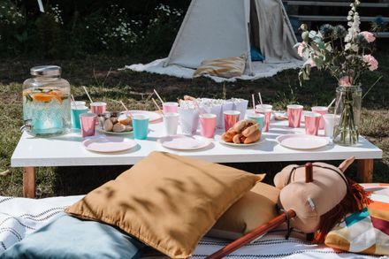 Colourful disposable plates and cups laid out for a picnic — photo by Ron Lach on Pexels