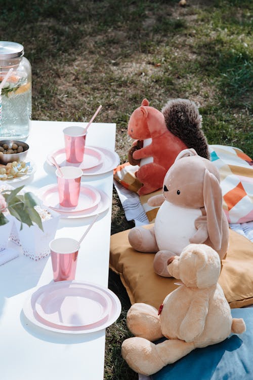 Stuffed Toys Sitting on Throw Pillows in Front of a Picnic Table