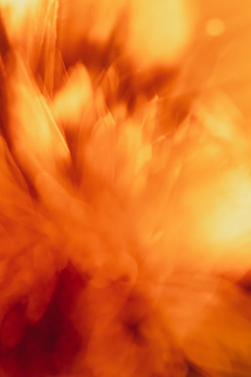 Fotos de stock gratuitas de abstracto, bomba de humo, color brillante