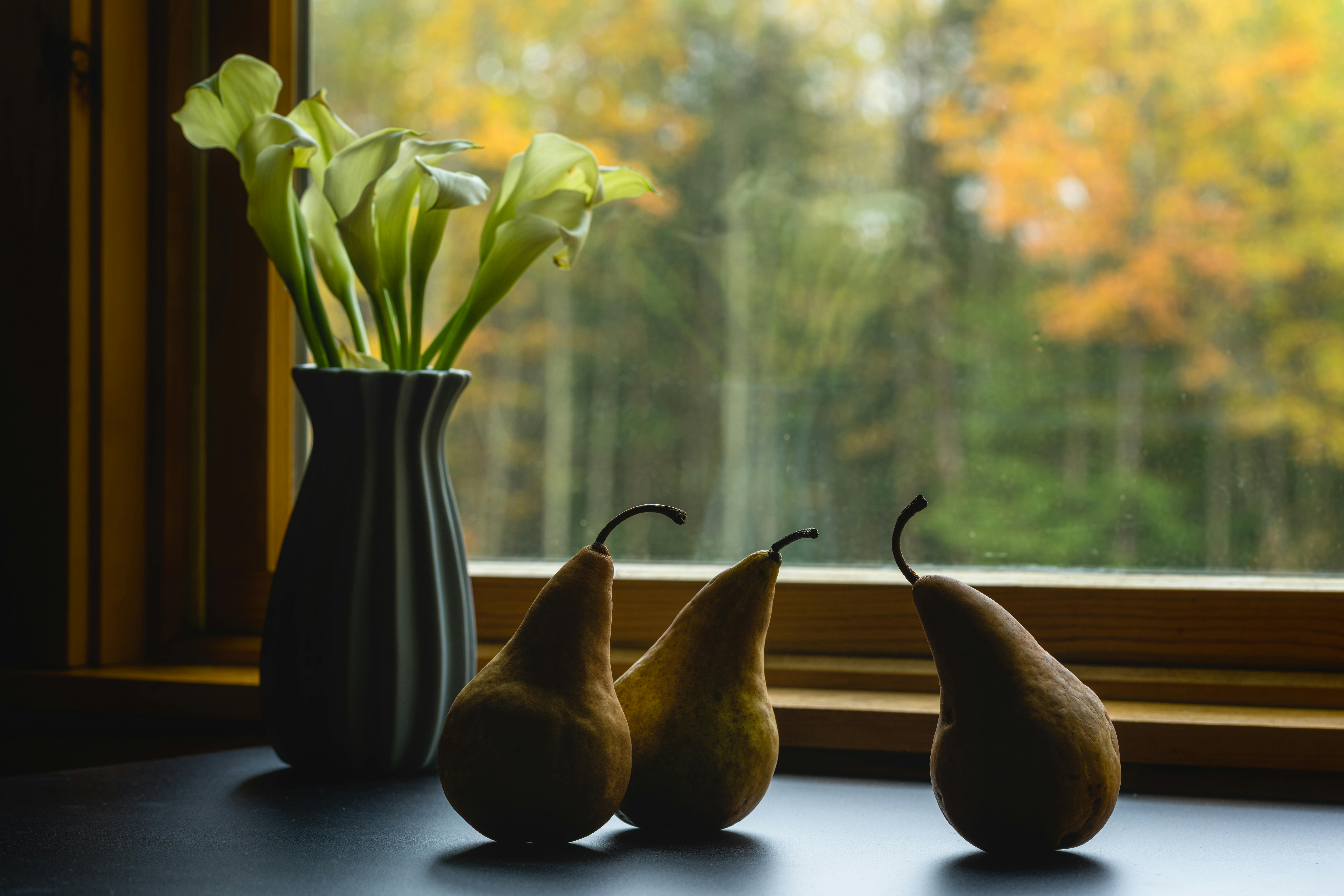 आहार योजना और रेसिपी आइडिया