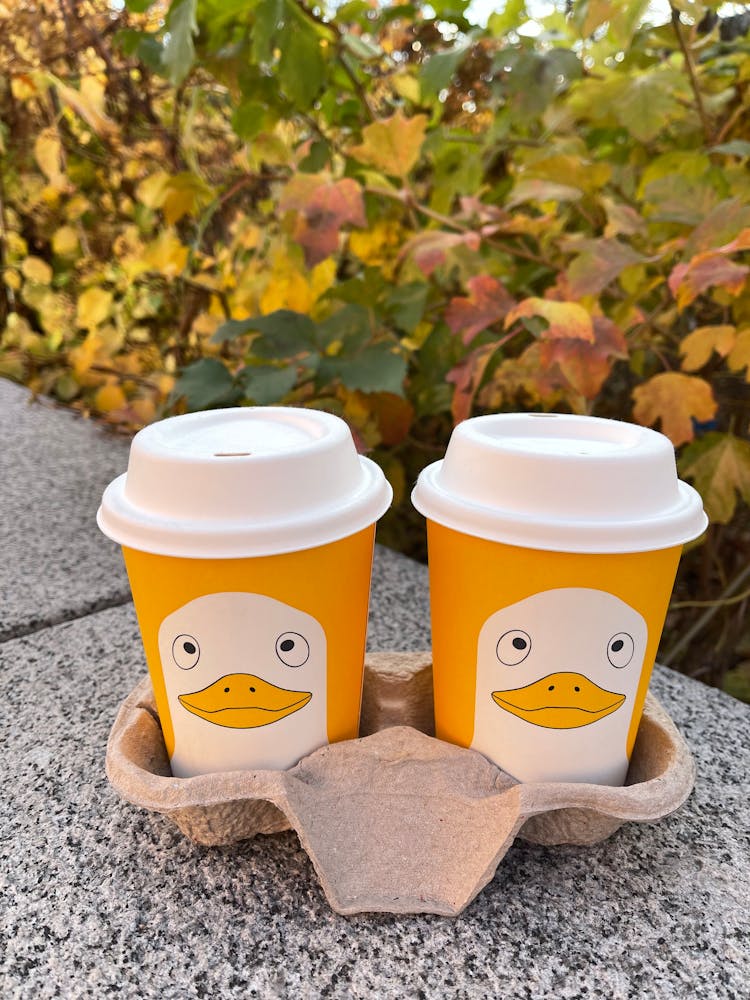 Two Disposable Cups On Gray Concrete Bench