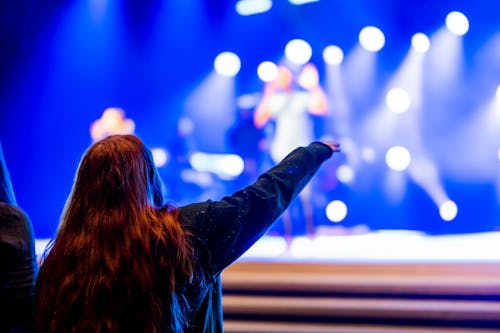 Back View of a Woman at a Concert 