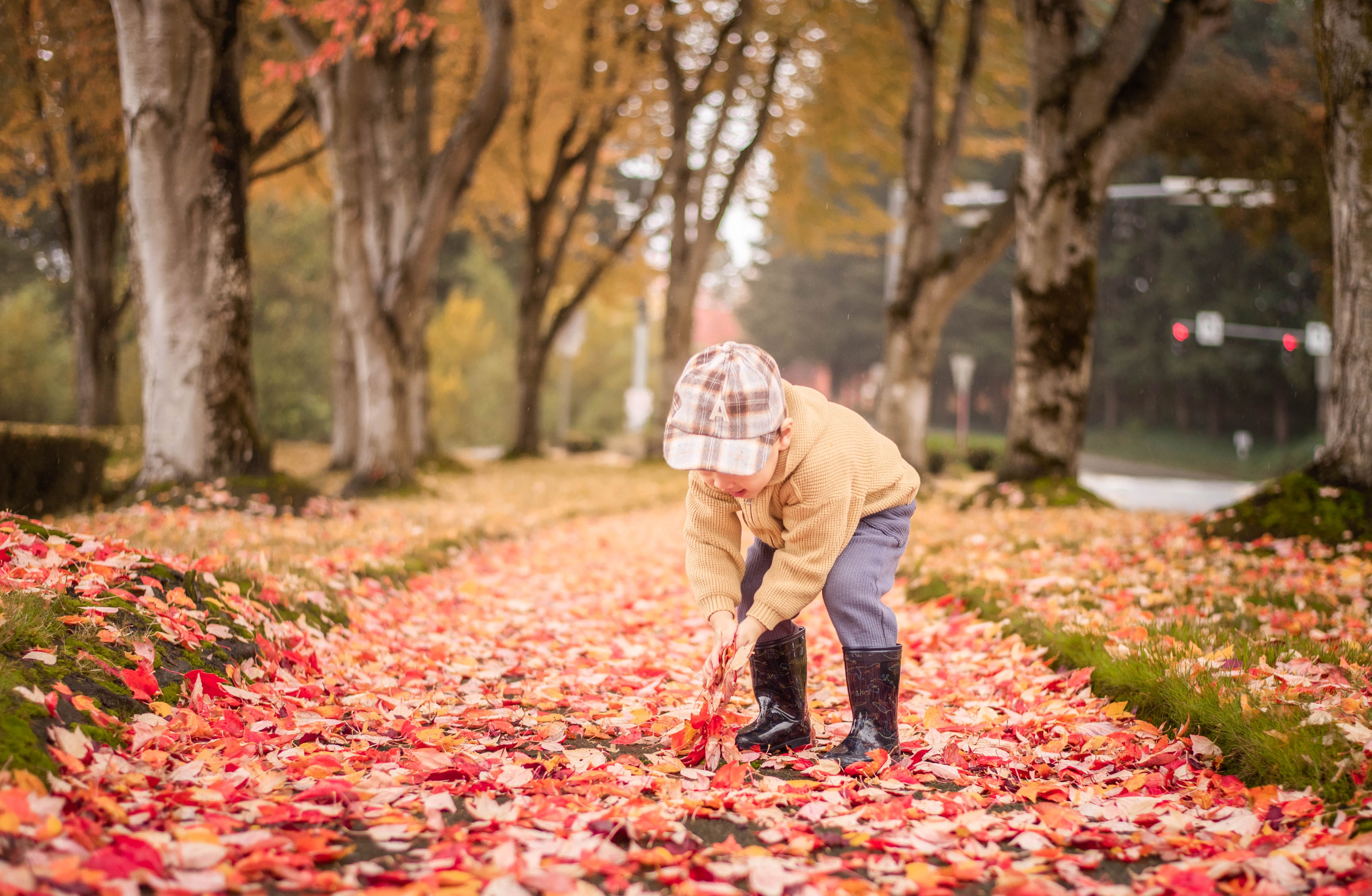 A child playing in colorful autumn leaves on a tree-lined path in a park.