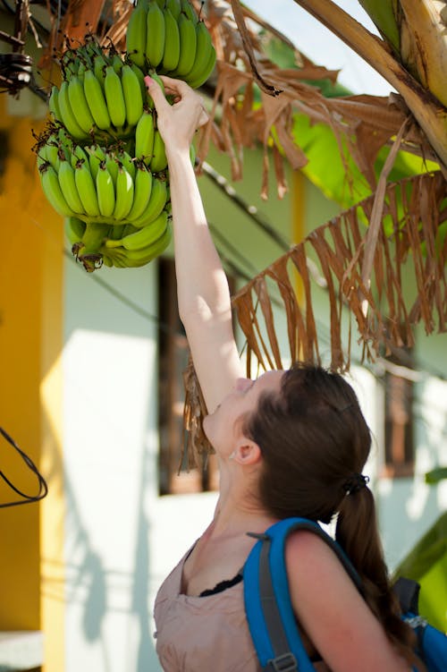 Mujer Recogiendo Plátanos Verdes