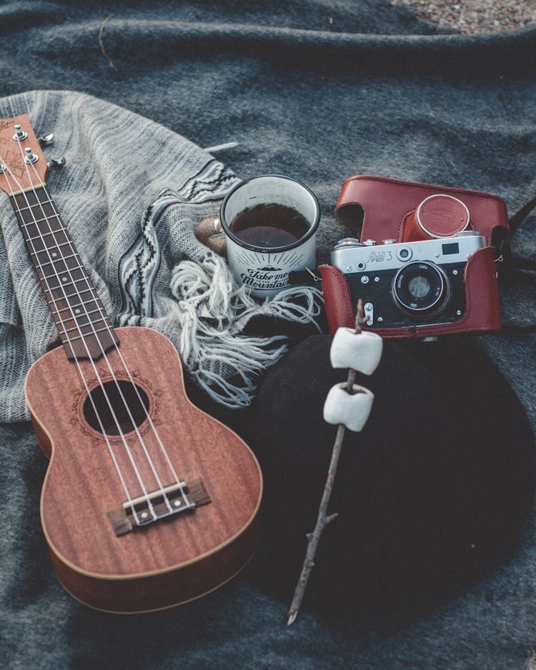 Ukulele, Cup Of Tea, Marshmallows On A Stick And A Vintage Camera 