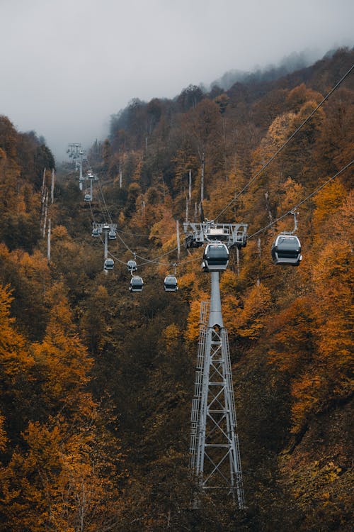 Бесплатное стоковое фото с autumn, autumn color, fall
