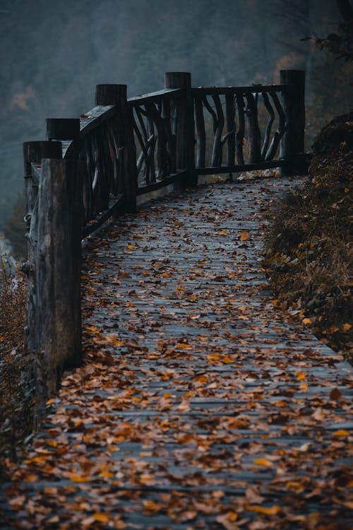 bezplatná Základová fotografie zdarma na téma dřevěný most, pěšina, podzim Základová fotografie