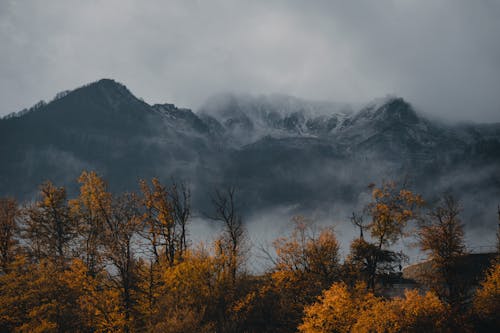 Free Photo of Trees and a Mountain Stock Photo