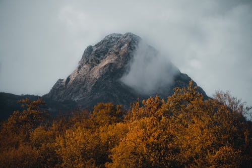 Brown and Green Trees Near Mountain Under White Clouds