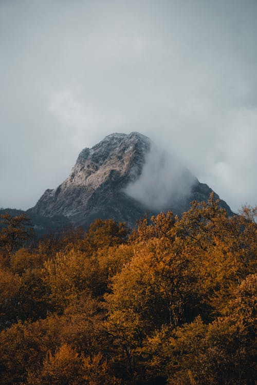 Immagine gratuita di cima della montagna, colori autunnali, esterno