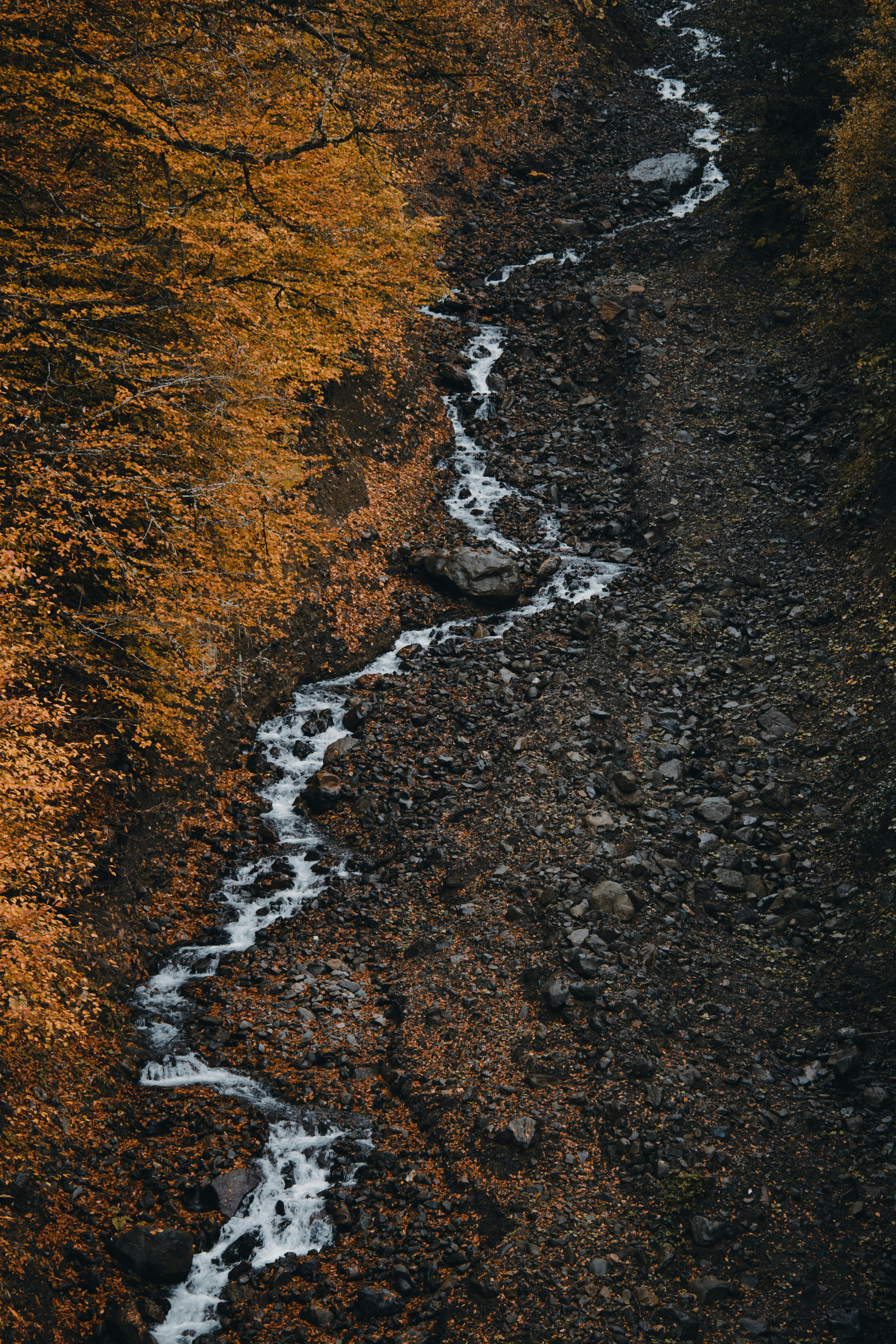 A picturesque view of a stream flowing through a rocky valley in autumn, capturing nature's beauty.