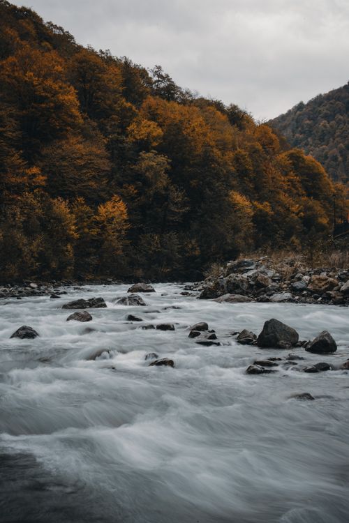 Free Serene autumn river scene with flowing water and vibrant foliage in Krasnodar, Russia. Stock Photo