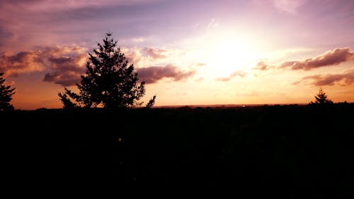 Бесплатное стоковое фото с верхушки деревьев, дрон, золотой закат