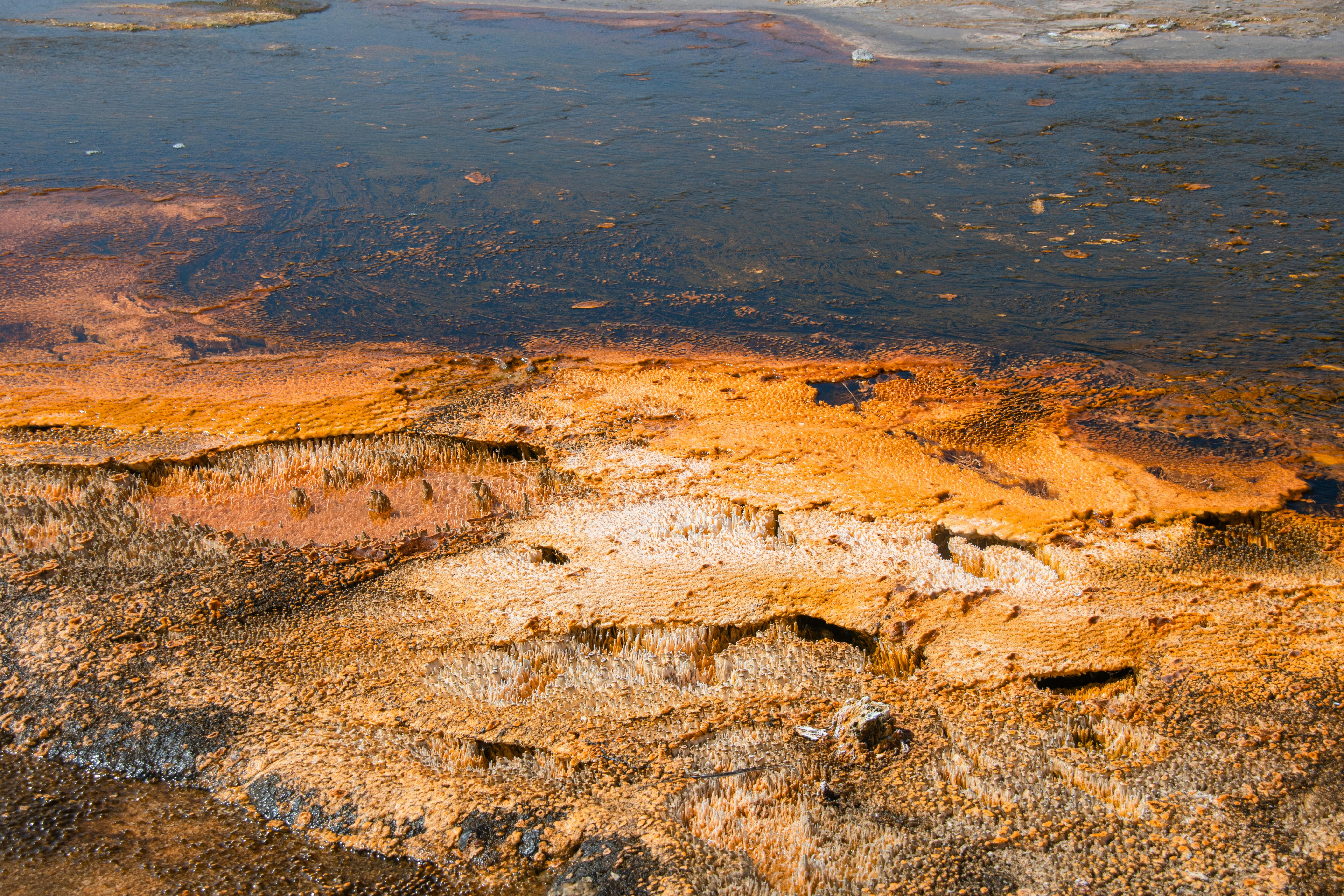 chemical formation on yellowstone national park lake