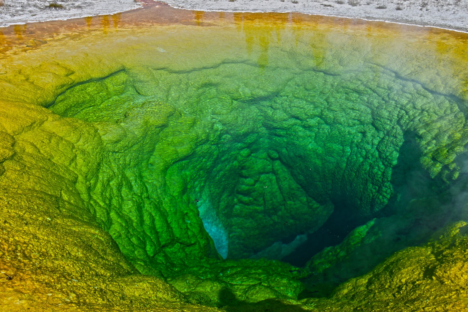 A vibrant geothermal hot spring, Morning Glory Pool, showcasing vivid green and yellow colors in Yellowstone National Park.