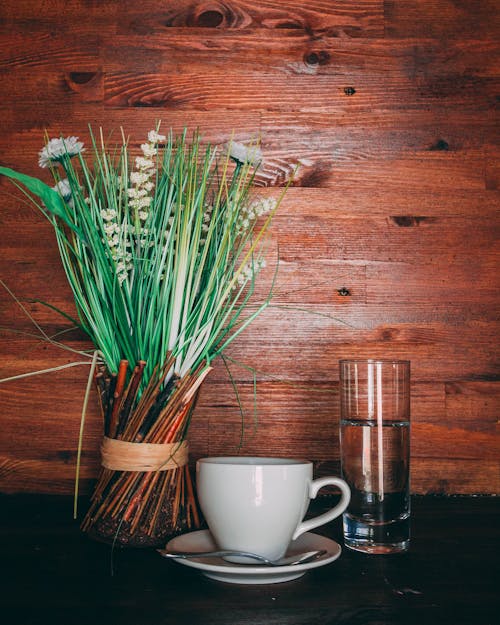 Green Leafed Plants Near White Ceramic Teacup and Saucer