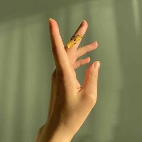 Persons Left Hand With Yellow Insect