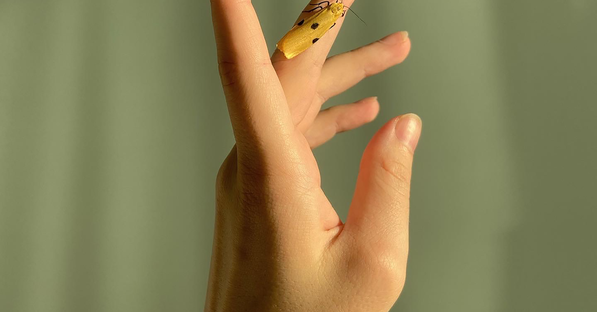 Insect Hand Sign Persons Left Hand With Yellow Insect · Free Stock Photo