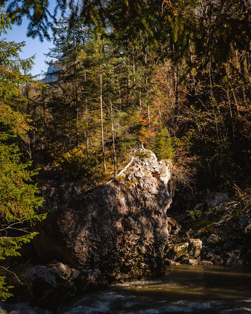 Eroded Rock over River in Forest