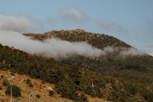 ağaçlar, bulutlar, dağ içeren Ücretsiz stok fotoğraf