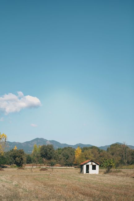 Scenic rural field under a bright blue sky with a lone house, trees, and distant mountains.