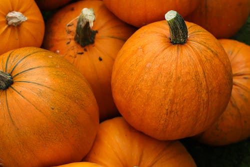 A Pile of Orange Pumpkins