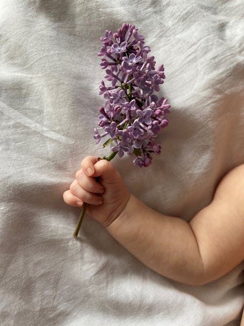 Person Holding Purple Flower on Her Right Hand