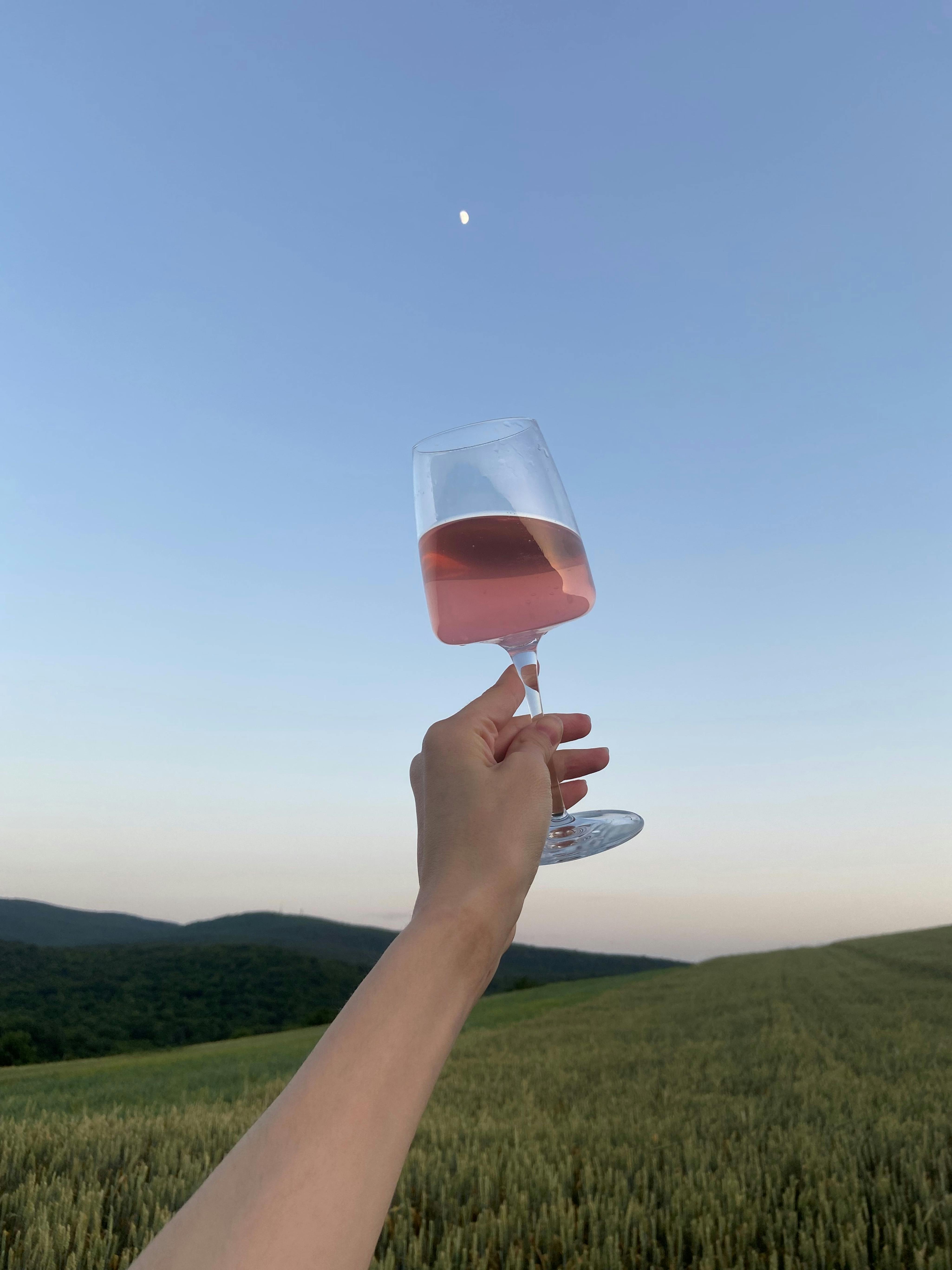 person holding clear wine glass with pink liquid