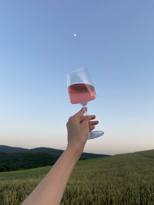 Person Holding Clear Wine Glass With Pink Liquid