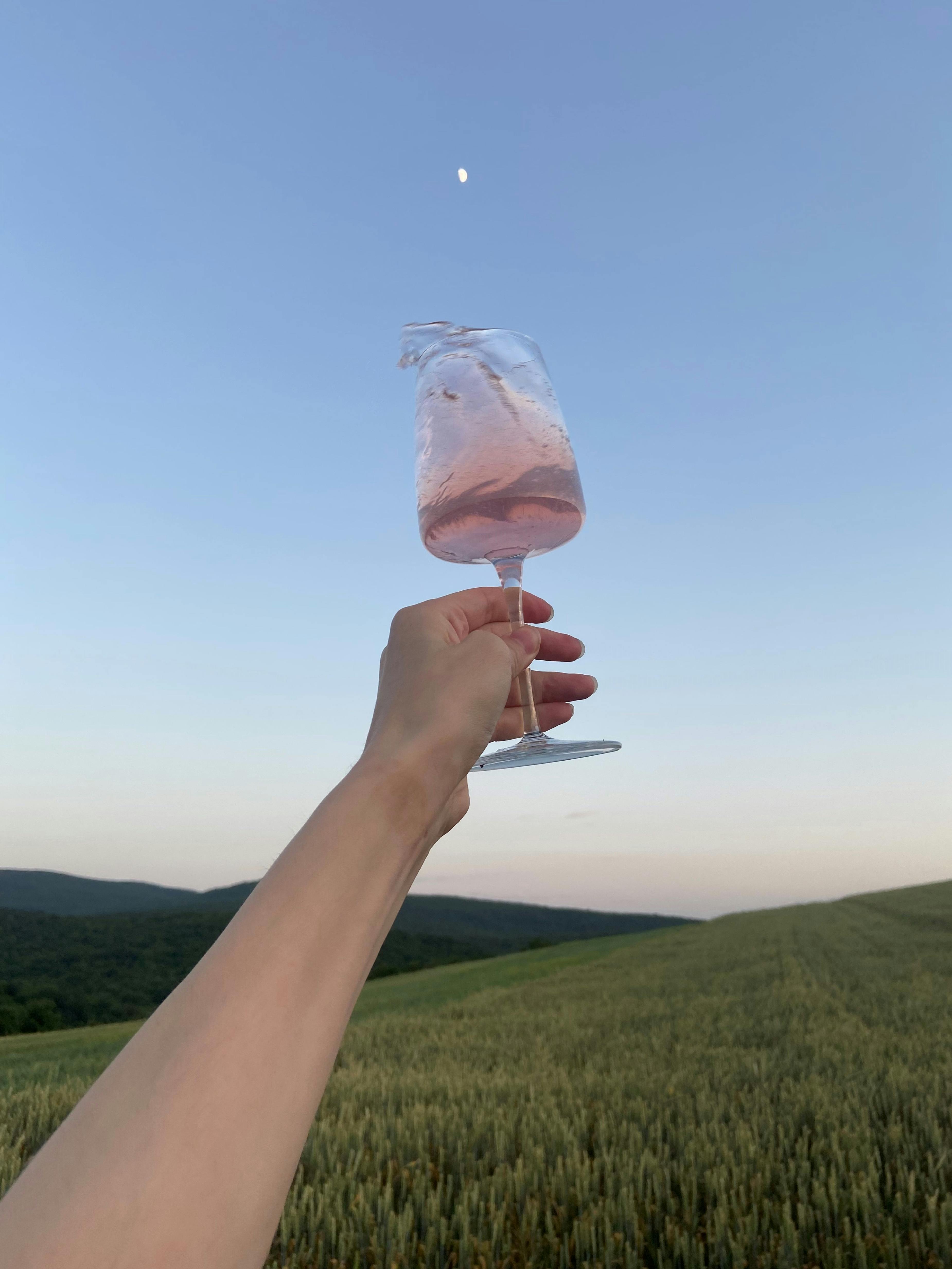 A hand holds a glass of rosé against a clear sky with a visible moon over a field.
