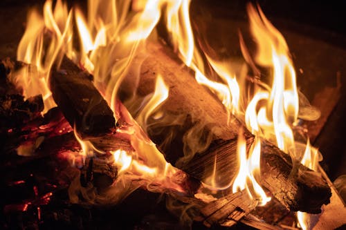 Free Burning Campfire Stock Photo