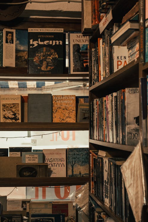 Wooden Book Shelves With Books