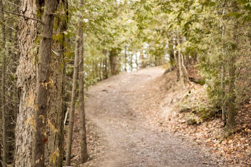 Free stock photo of foot path, nature, path Stock Photo