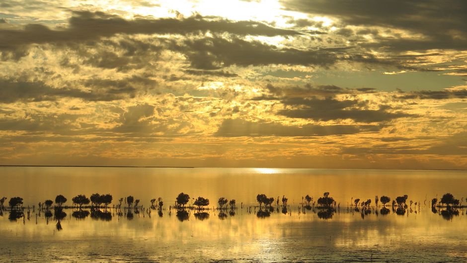 Visa Pénurie Temporaire Subclass 482 Australie — Guide Complet 2026