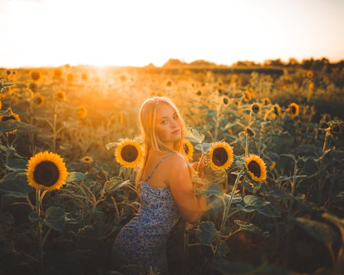 Woman in Field of Sunflowers at Sunset