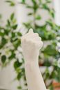 Close-up of Cast Fist