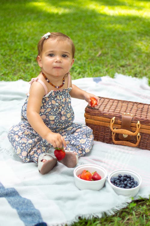 Free stock photo of baby, blueberries, caucasian child