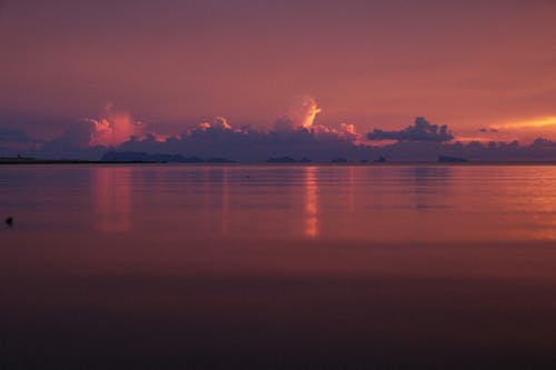 ビーチ, ピンクの空, 地平線の無料の写真素材