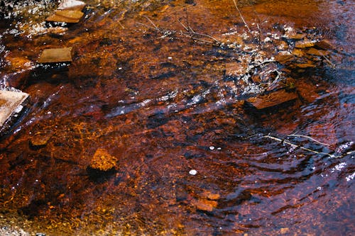 Water in River