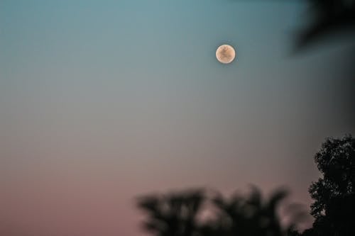 달, 달 사진, 슈퍼 문의 무료 스톡 사진