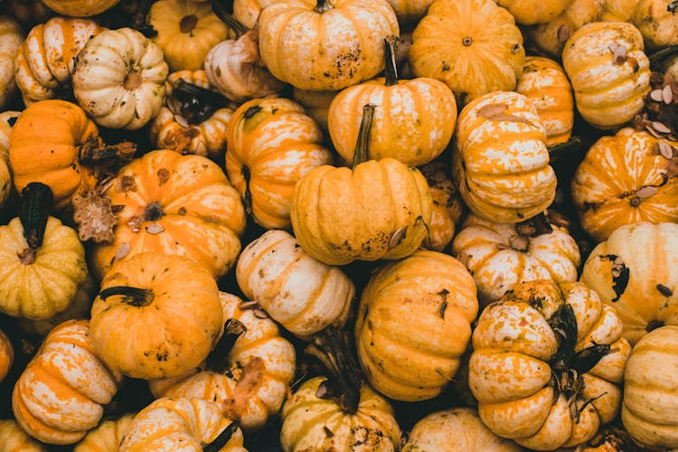 Full Frame Shot Of Orange Pumpkins