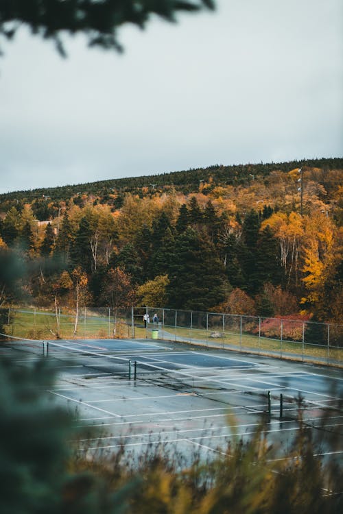 Immagine gratuita di autunno, bagnato, campo da tennis