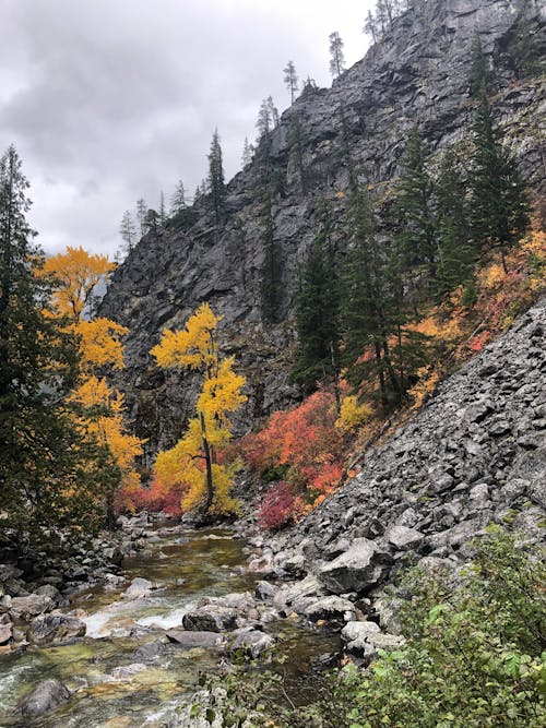 Green and Yellow Trees Near Rocky Mountain Under Cloudy Sky