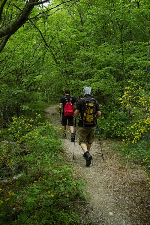 Free People Hiking on Mountain Stock Photo